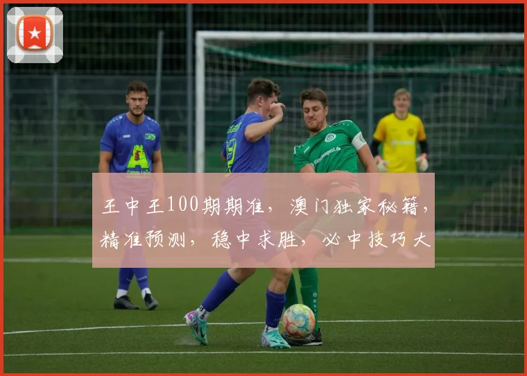 王中王100期期准，澳门独家秘籍，精准预测，稳中求胜，必中技巧大公开