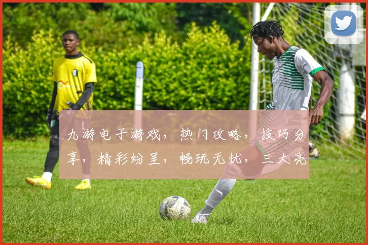 九游电子游戏，热门攻略，技巧分享，精彩纷呈，畅玩无忧，三大亮点，不容错过