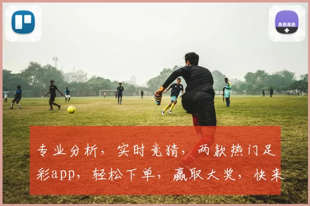 专业分析，实时竞猜，两款热门足彩app，轻松下单，赢取大奖，快来体验
